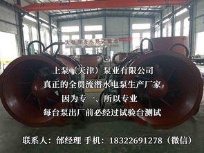 探索流體世界的隱秘力量 潛水貫流泵、全貫流閘門泵、燈泡泵與臥式全貫流泵技術(shù)解析